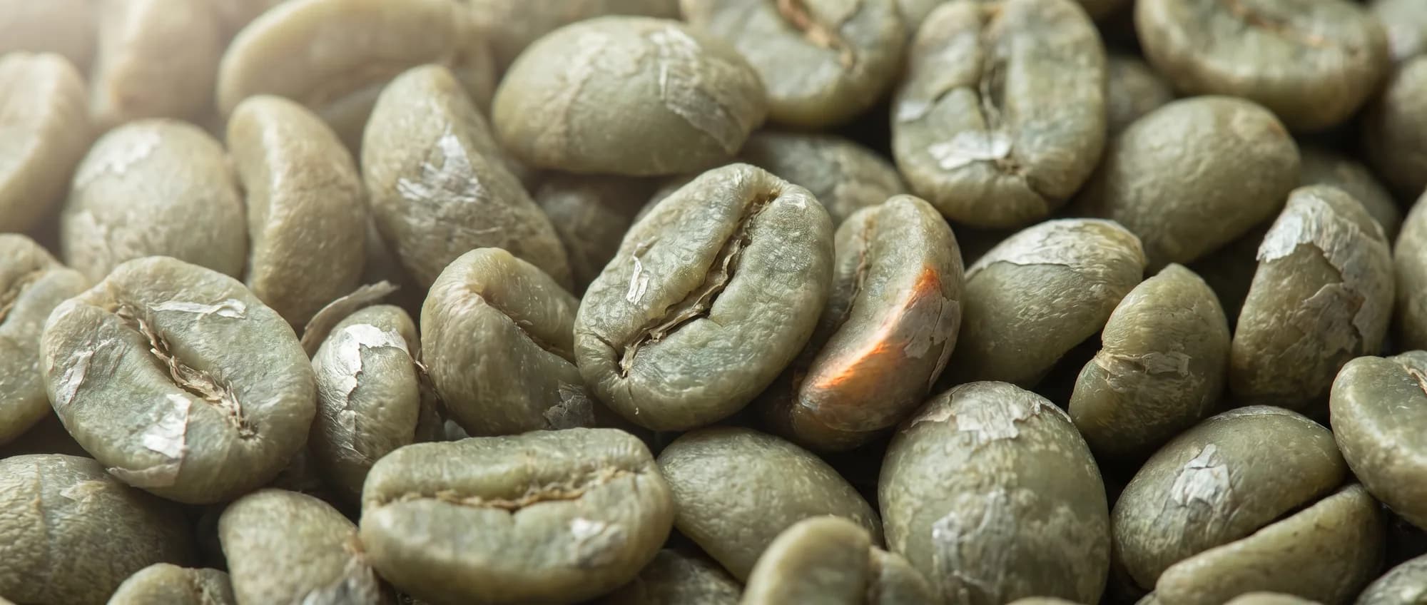 green coffee beans texture