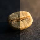 single coffee bean